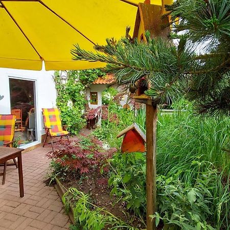 Ferienhaus Julchen Samtens Exterior foto